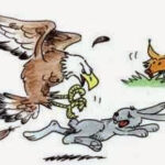 Las Zorras, las Águilas y las Liebres