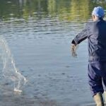 El Pescador y el Río Revuelto